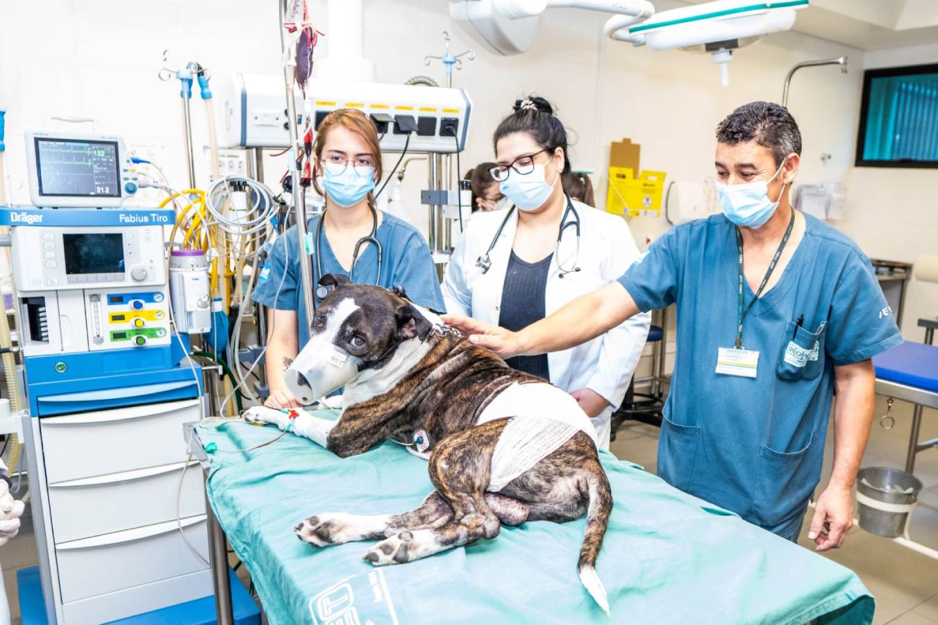 Foto colorida do Hospital Veterinário em funcionamento - Metrópoles