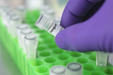 Imagem colorida mostra teste para diagnóstico de dengue - Metrópoles