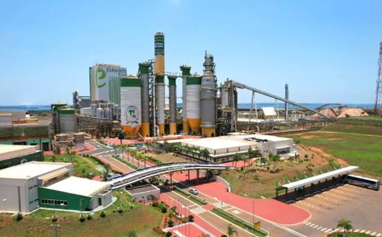 Imagem colorida da Eldorado Brasil Celulose