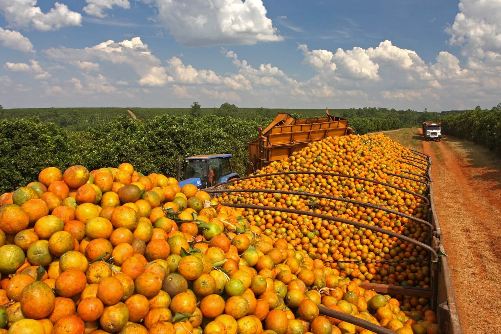 Laranjas