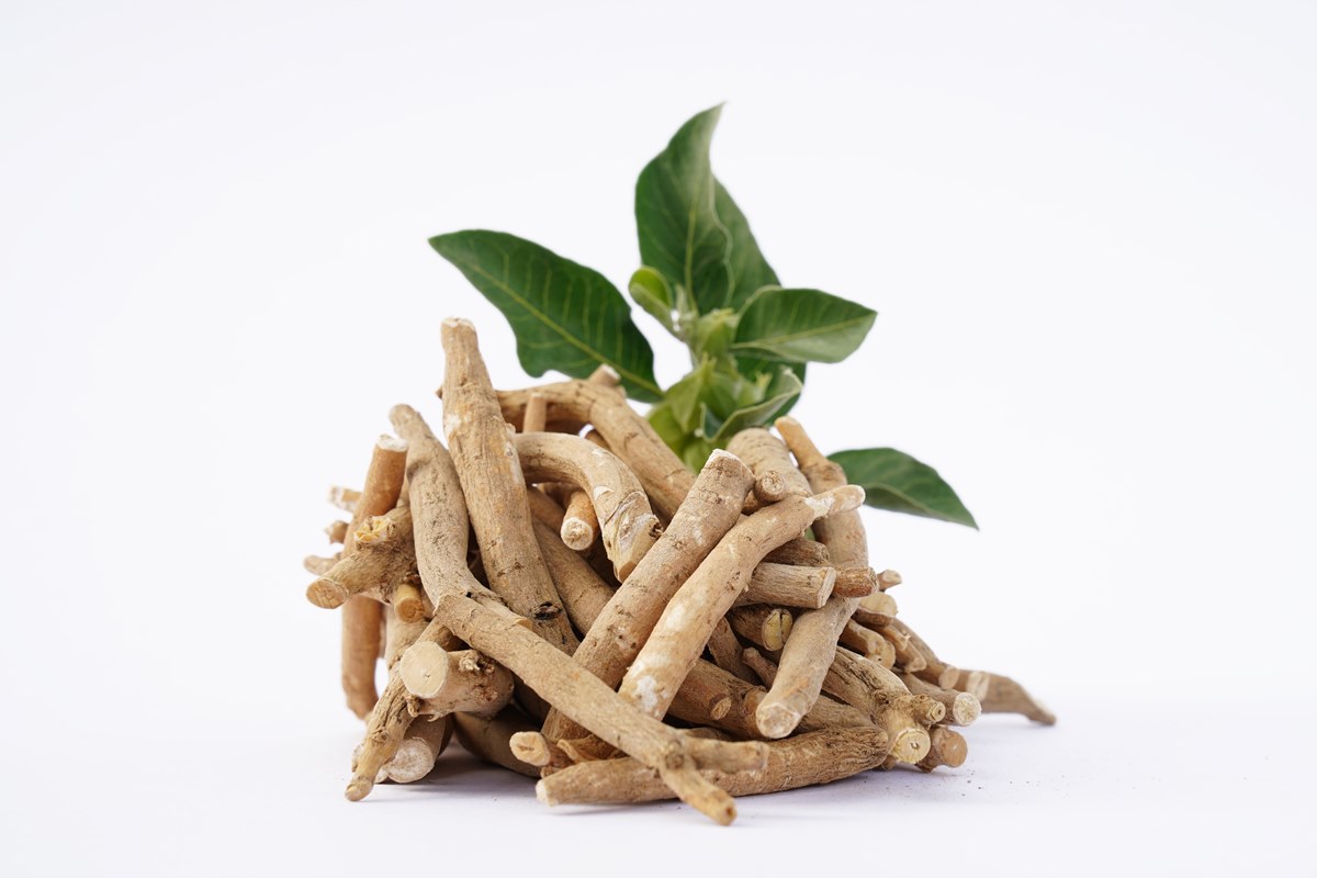 raiz de Ashwagandha