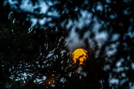 Imagem colorida de lua - Metrópoles