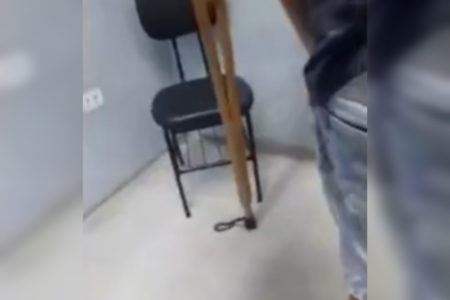 Imagem de cobra em chão de hospital; um homem atinge o animal com uma muleta - Metrópoles