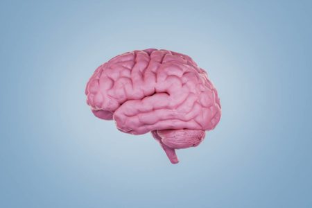Imagem rosa de um cérebro sobre fundo azul - Metrópoles