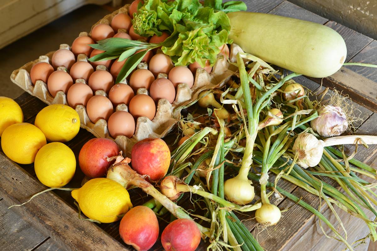 Alimentos populares