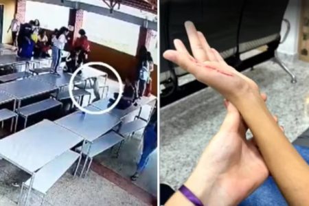imagem colorida pit bull invade escola goias
