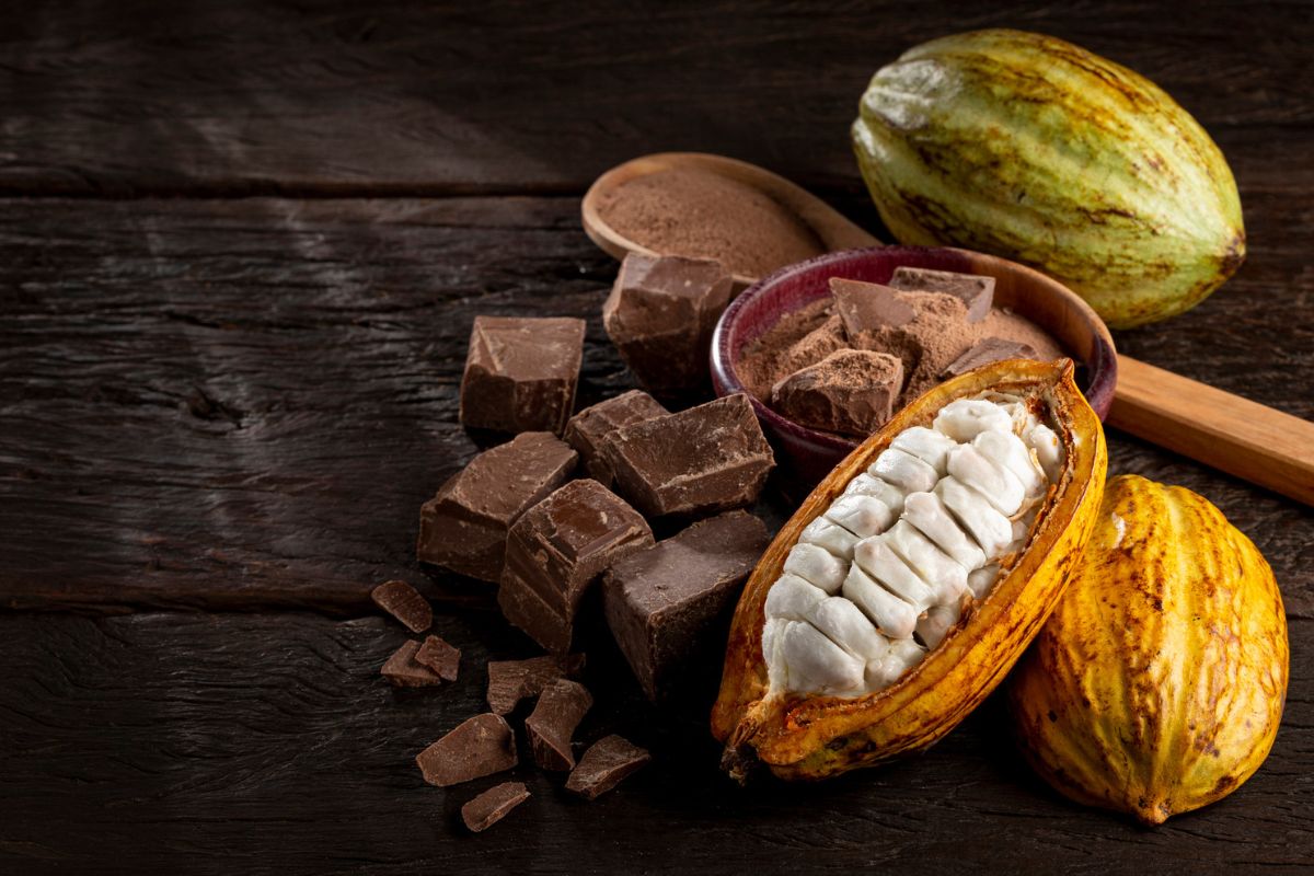 cacau e chocolate