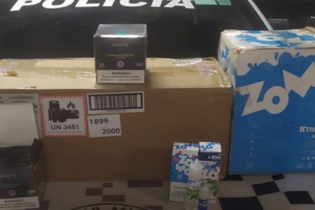 foto colorida de carga de cigarro eletrônico (vape) encontrada escondida em carregamento de alho - Metrópoles