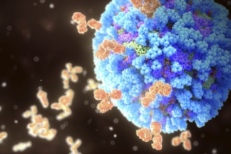 Ilustração colorida mostra uma bola azul representando o vírus da gripe, e pequenos objetos laranja representando anticorpos - Metrópoles