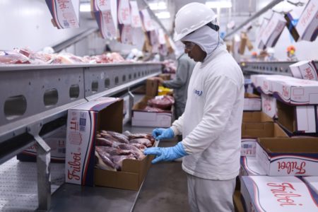 Foto colorida mostra trabalhador em unidade agroindustrial da JBS - Metrópoles