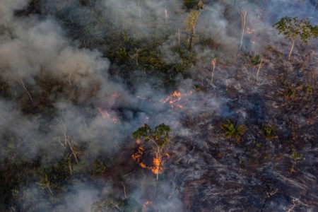 Imagem colorida mostra queimada de vegetação - Metrópoles