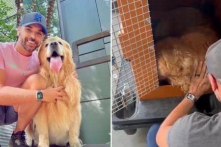 Montagem com fotos coloridas do tutor, João Fantazzini, e do cão Joca - Metrópoles