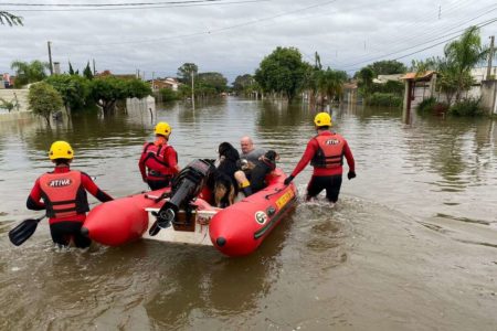 Imagem de cachorros nos barcos de resgate RS - Metrópoles