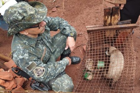 foto colorida de idoso multado por prender gata em gaiola em Rosana (SP); animal foi resgatado pela Polícia Ambiental - Metrópoles