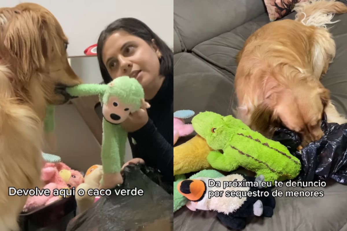 Foto colorida de uma mulher e um cachorro - Metrópoles
