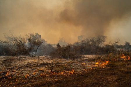 Foto colorida de incêndio florestal no Pantanal - Metrópoles