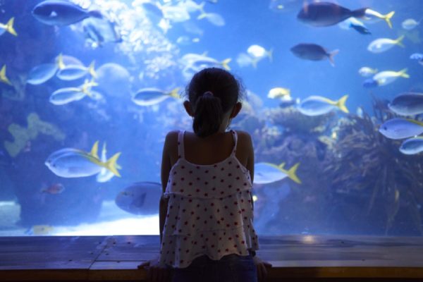 Imagem colorida - Downtown Aquarium - Metrópoles