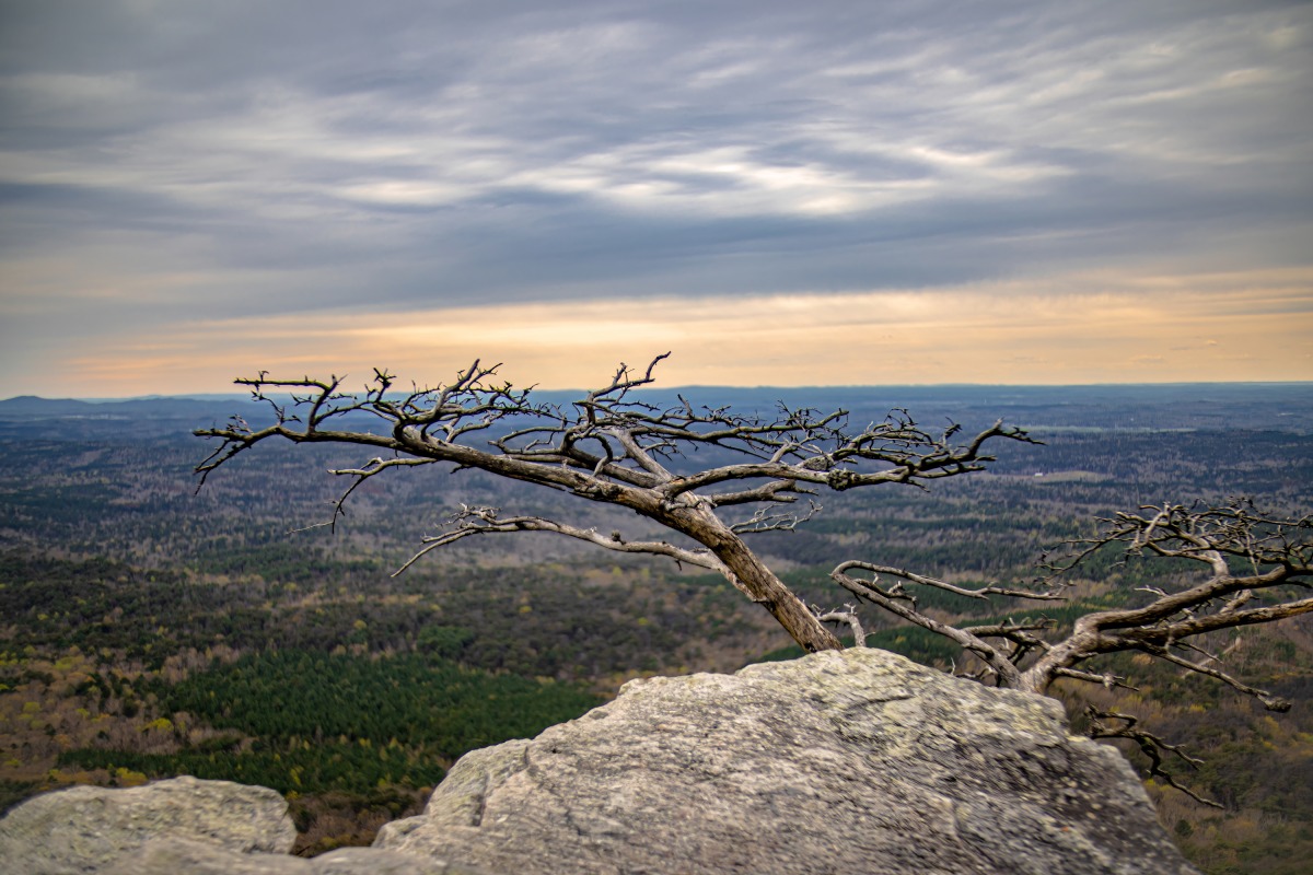 Fotografia colorida de cheaha State Park Alabama