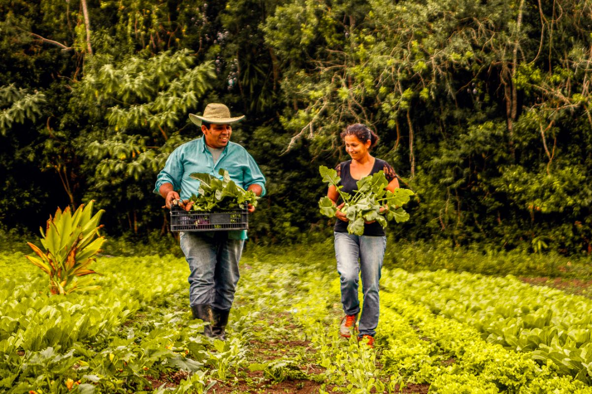 Fotografia colorida mostrando dois agricultores em lavoura-Metrópoles