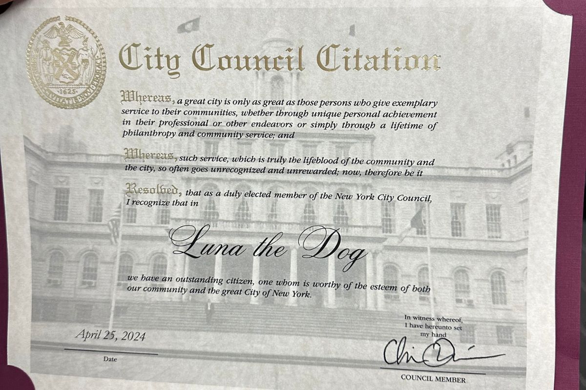Foto colorida de um certificado - Metrópoles