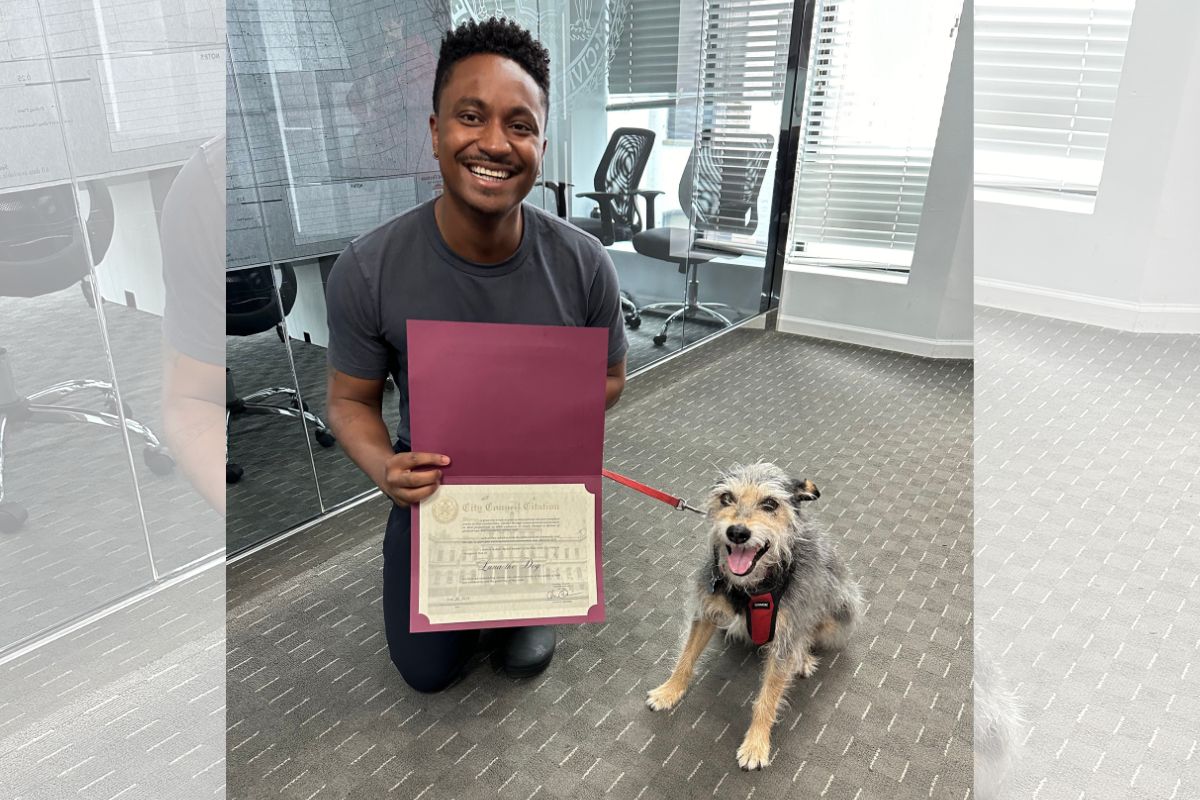 Foto colorida de um certificado - Metrópoles