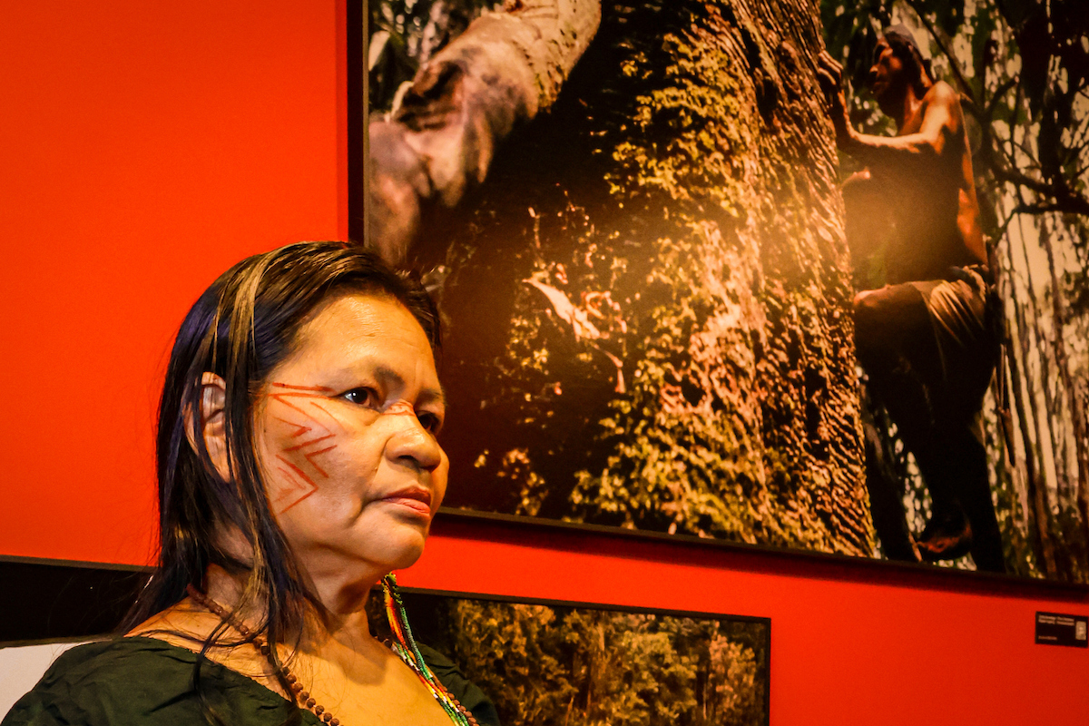 Lançamento da exposição Hiromi Nagakura até a Amazônia com Ailton Krenak