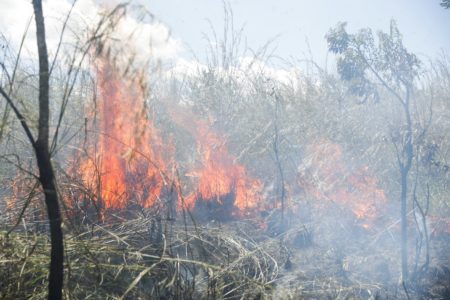 Imagem colorida de um incêndio em uma área de mata