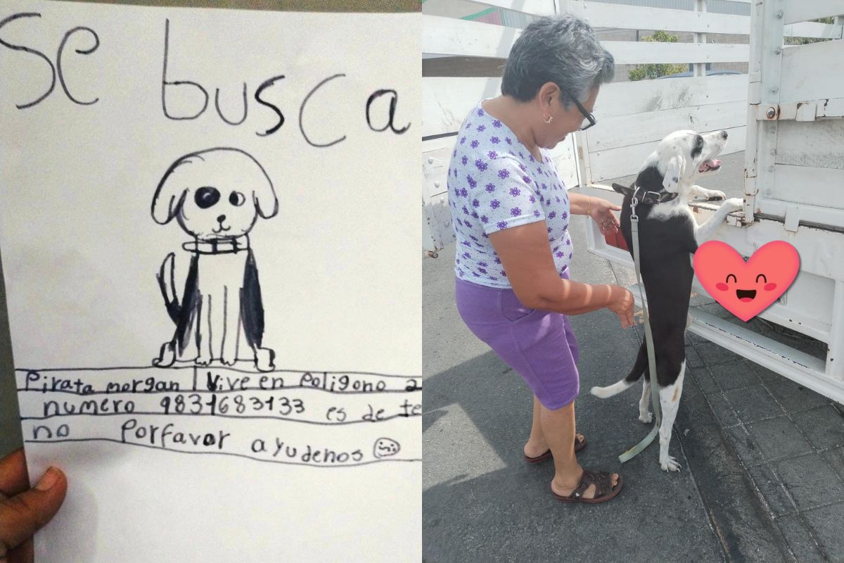 Foto colorida de um desenho e uma mulher - Metrópoles