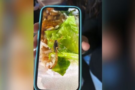 Imagem colorida mostra escorpião em prato de comida de escola estadual no interior de São Paulo - Metrópoles
