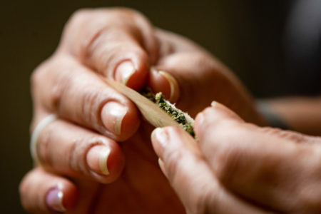 Cigarro de maconha cannabis - Metrópoles