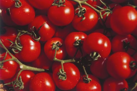 Foto de estoque de tomates maduros - Metrópoles