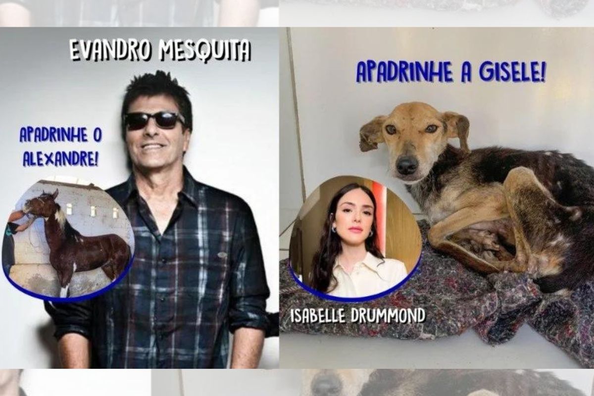 Imagem colorida dos atores Evandro Mesquita e Isabelle Drummond com animais da ONG