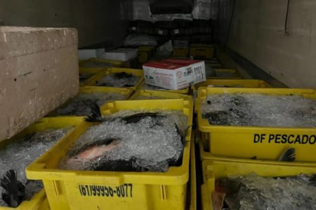 Foto colorida de carga de pescados