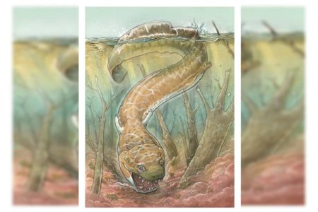Imagem colorida mostra "monstro" gigante encontrado na África - Metrópoles
