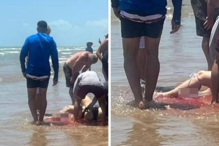 imagem colorida ataque tubarao praia eua - Metrópoles