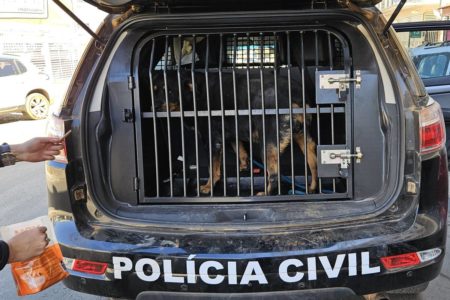 A Delegacia de Repressão aos Crimes Contra os Animais (DRCA) resgatou, na manhã desta segunda-feira (15/7), um cão da raça Rottweiler que estava sofrendo de maus-tratos em uma loja na CNB 13, em Taguatinga.
