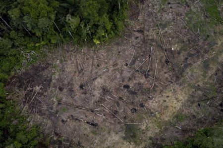 Imagem colorida de desmatamento na Amazônia