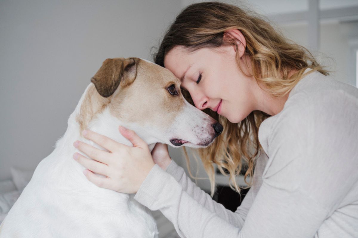Imagem colorida de mulher acariciando cachorro