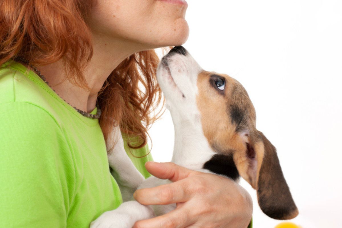 Imagem colorida de cachorro farejando mulher