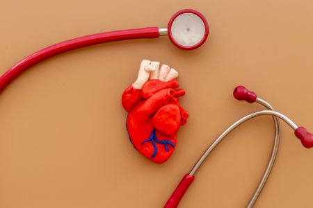Modelo de coração humano com visão superior estetoscópio