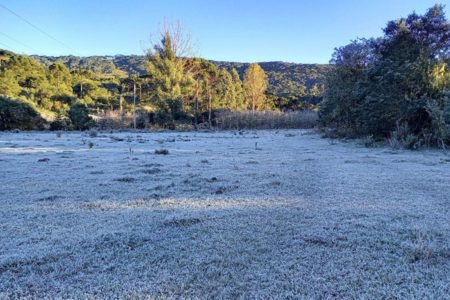 Episódios de geada são comuns na cidade frio - Metrópoles