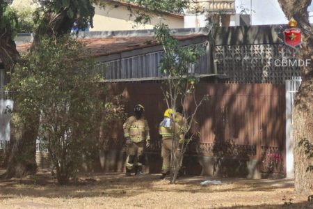 Uma idosa de 78 anos precisou ser levada às pressas para o hospital, após ser atacada por um enxame de abelhas, na tarde desta sexta-feira (2/8). O episódio aconteceu na casa da vítima, na área residencial da 712 Norte.
