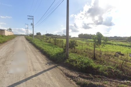 Imagem colorida de estrada de terra margeada por pasto, em dia ensolarado - Metrópoles
