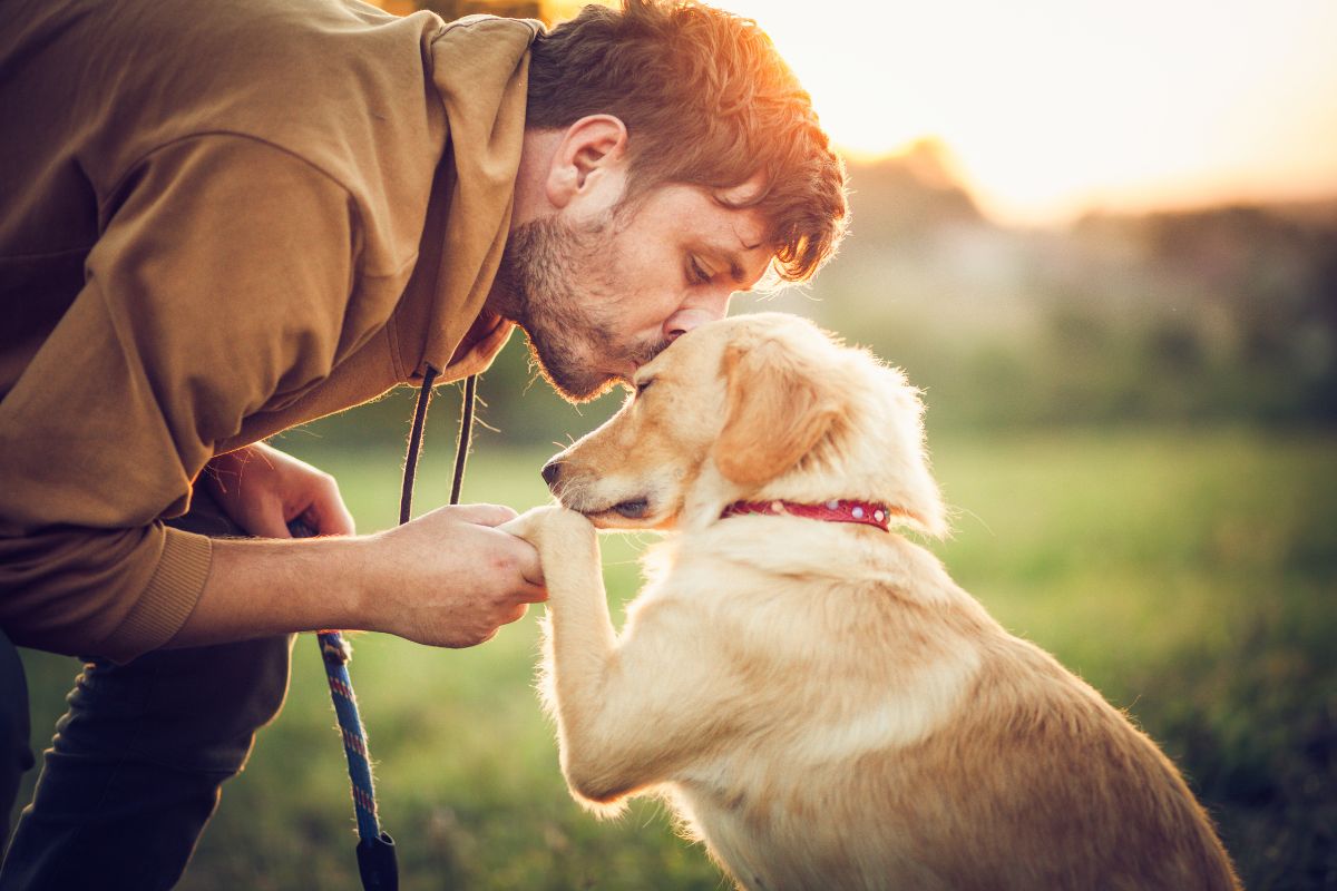 homem beijando um cachorro de pelagem caramelo
