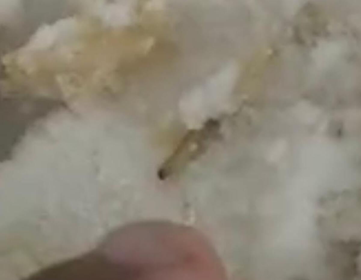 vídeo militar FAB lava