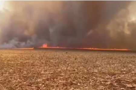 imagem colorida incendio fazendas caiaponia goias
