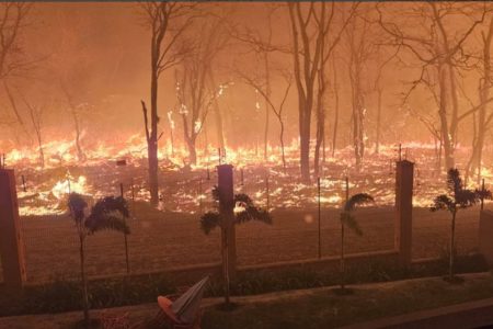 Imagem de fogo em Ribeirão Preto