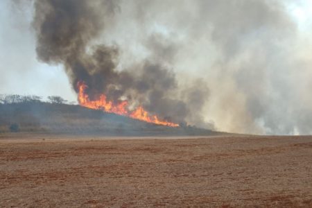 Imafgem colorida de incêndio - Metrópoles