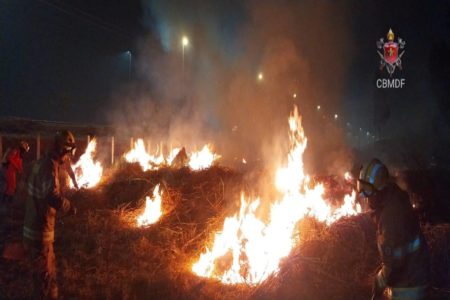 Incêndio em vegetação na L4 Sul