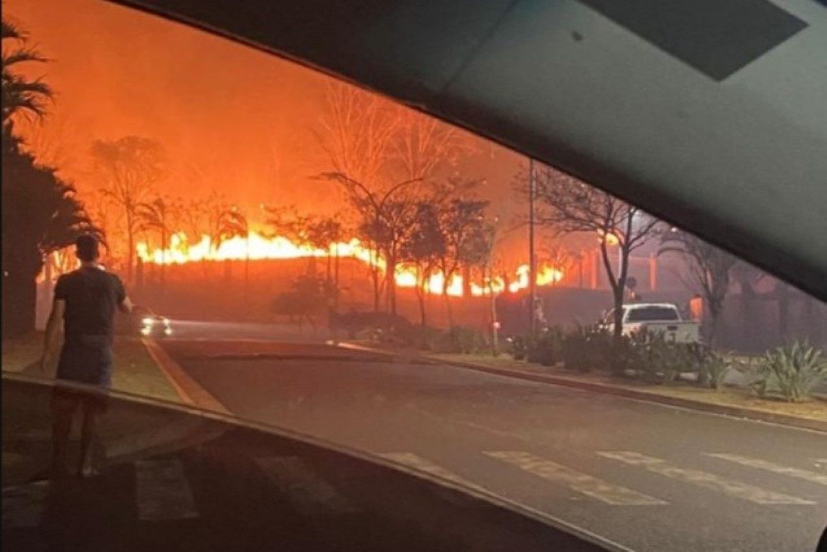Incêndio atinge mata em Ribeirão Preto, interior de SP - Metrópoles